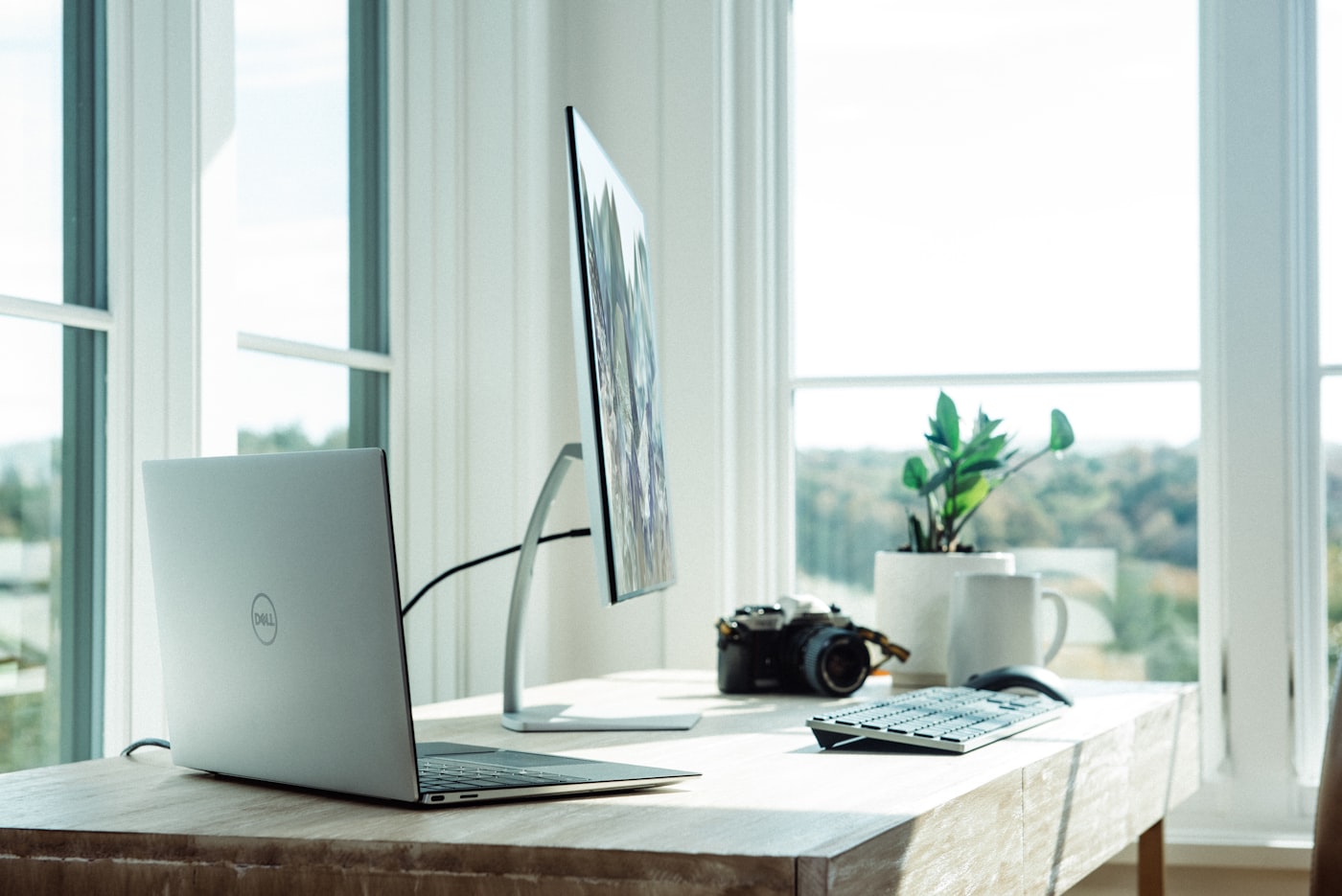 Persona che lavora in smart working da casa